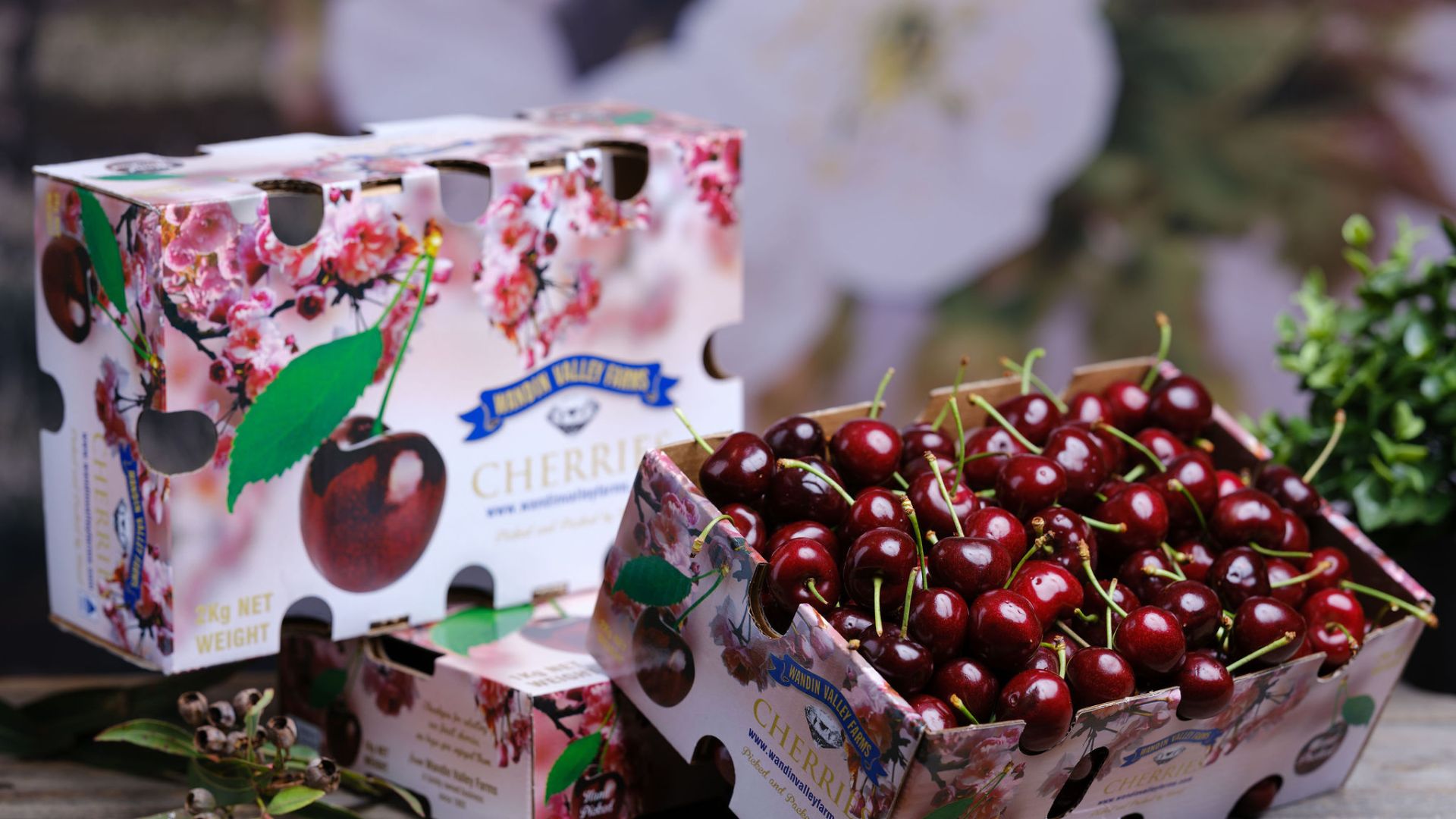 Wandin Valley Farms Cherries